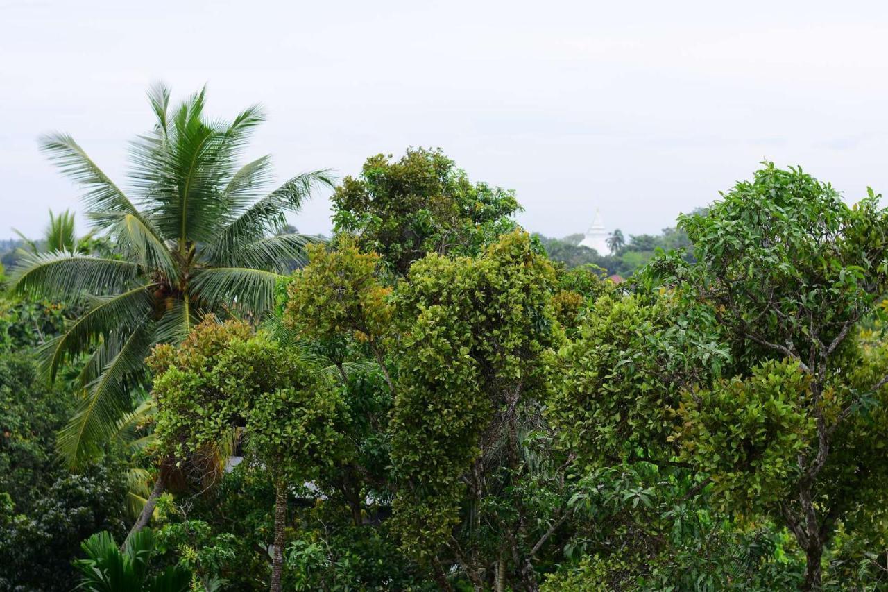 Heritage Eco Resort Kelaniya Eksteriør bilde