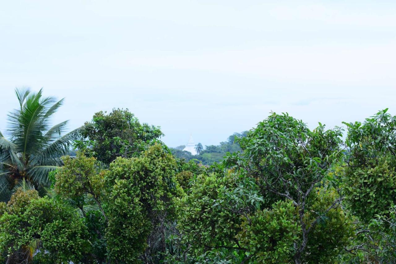 Heritage Eco Resort Kelaniya Eksteriør bilde