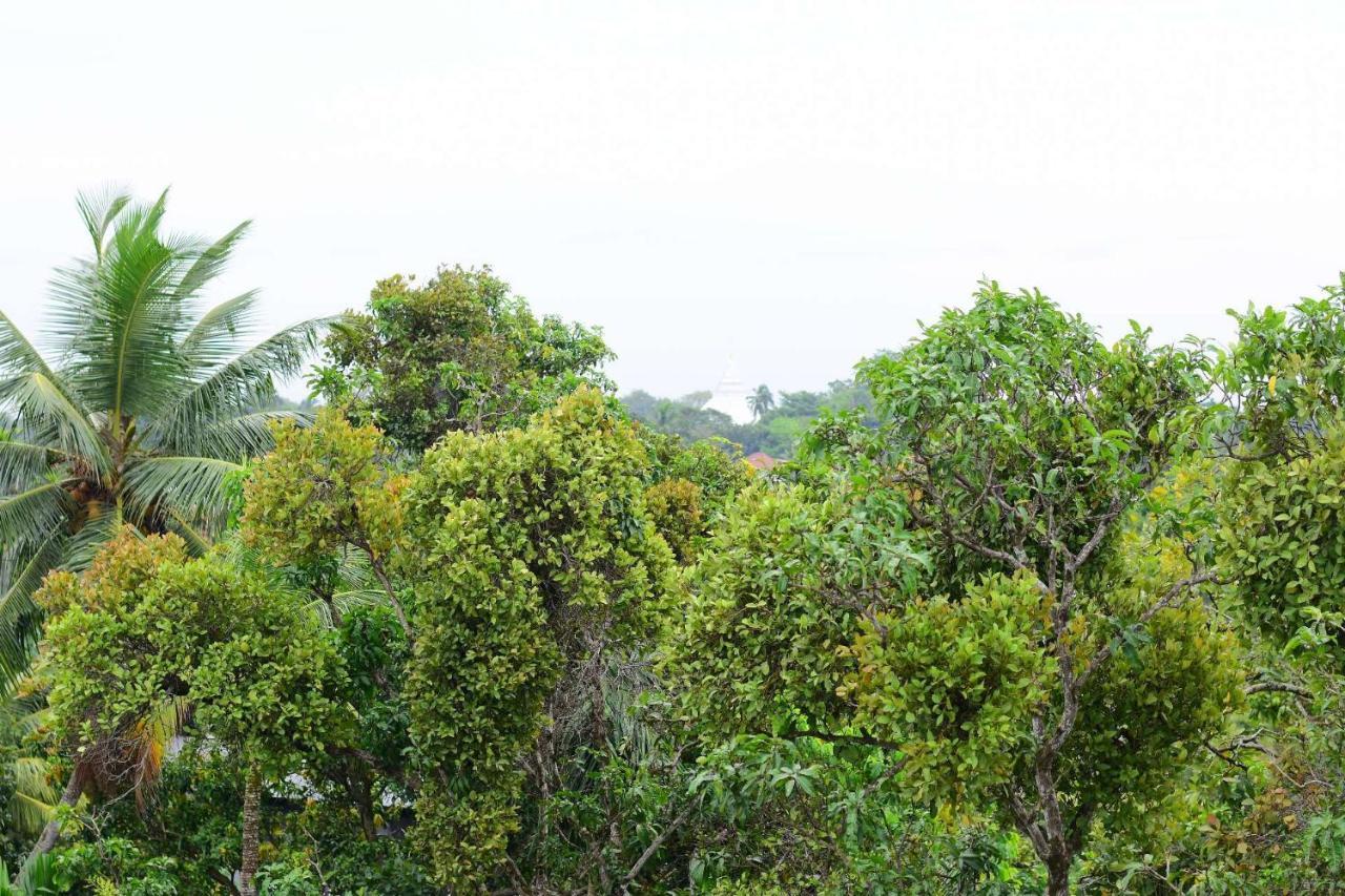 Heritage Eco Resort Kelaniya Eksteriør bilde